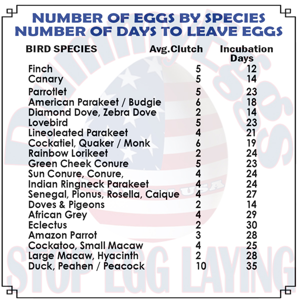 Incubation and Clutch Size Chart Per Bird Species