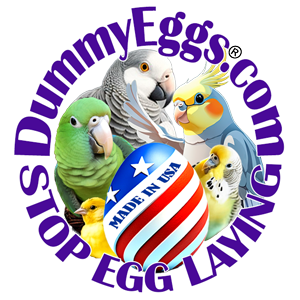 DummyEggs.com logo type in circle red white and blue flag over egg